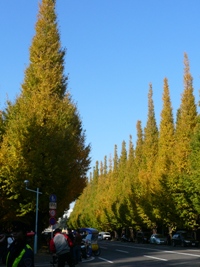 a0139771_2254126.jpg