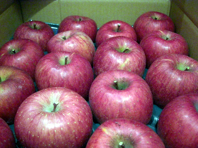 b0060071_1413155.jpg