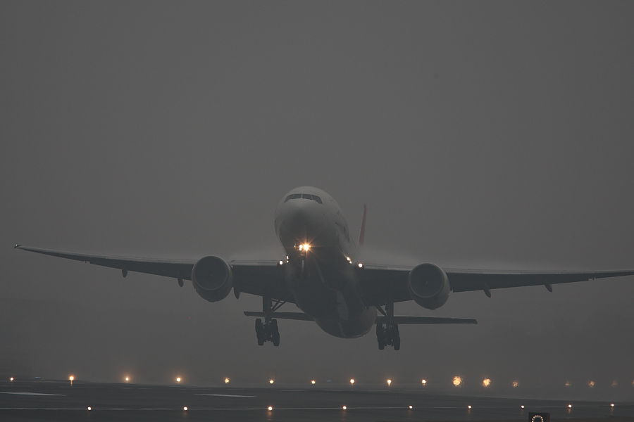 a0117972_20462414.jpg