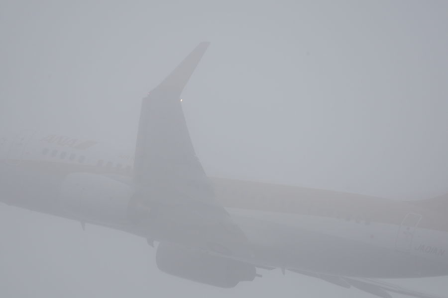 a0117972_2050375.jpg