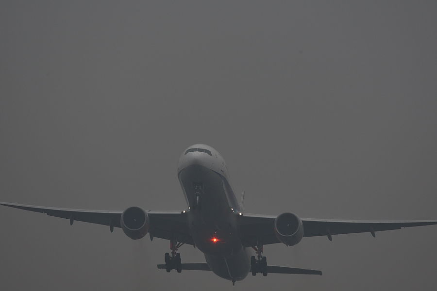 a0117972_20561346.jpg