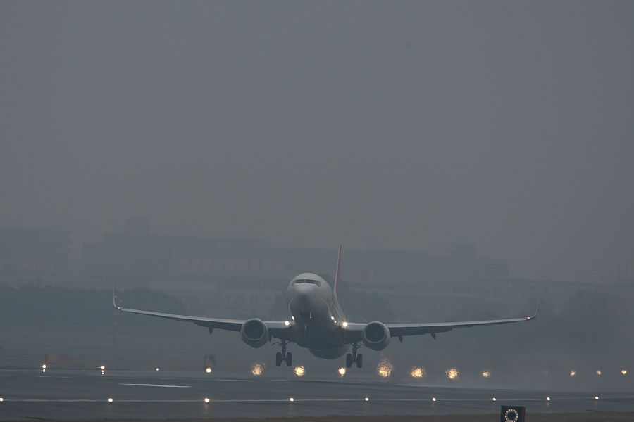 a0117972_20582653.jpg