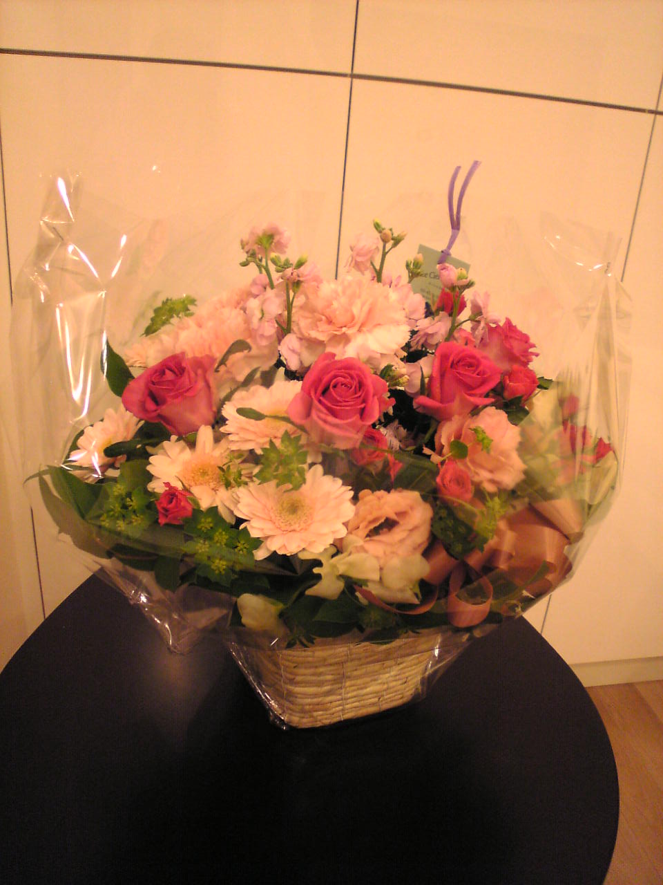 a0004374_21352258.jpg