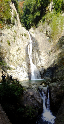 f0054075_23134526.jpg