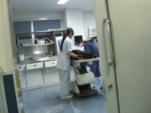 d0116578_20381243.jpg