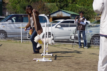 d0137083_21593865.jpg