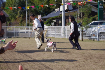 d0137083_2245887.jpg