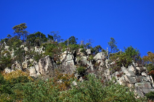 e0190885_20145380.jpg