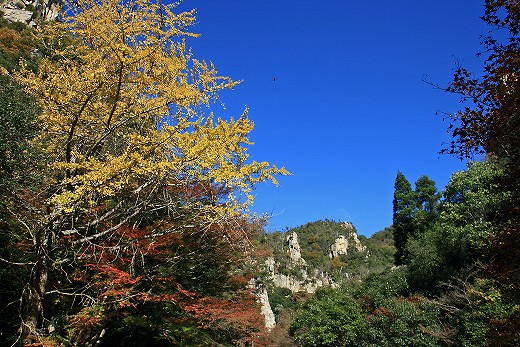 e0190885_2016138.jpg