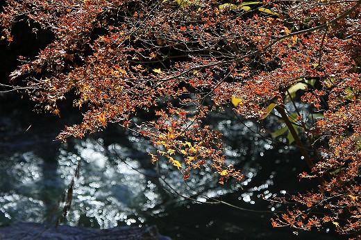 e0190885_2018158.jpg