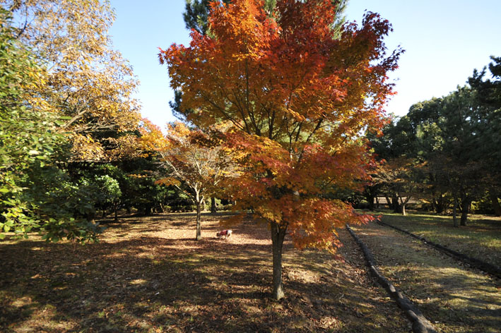 f0112087_1615257.jpg