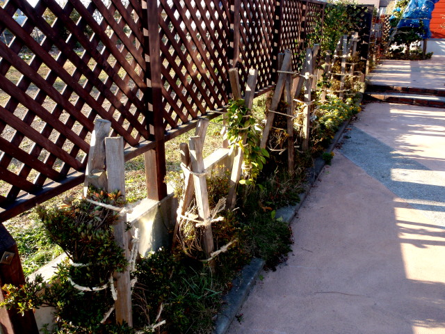 a0007388_1501098.jpg