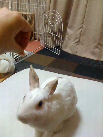 f0201191_1246865.jpg
