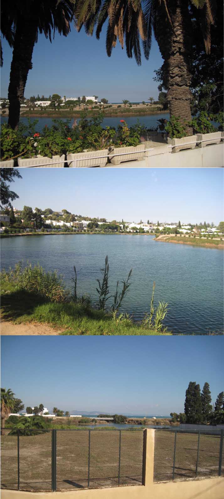 e0126094_19503611.jpg