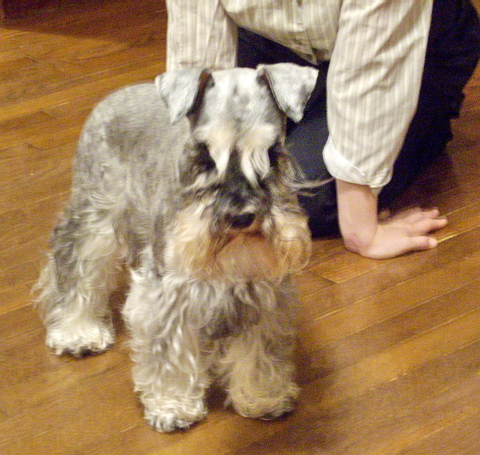c0138198_0145041.jpg
