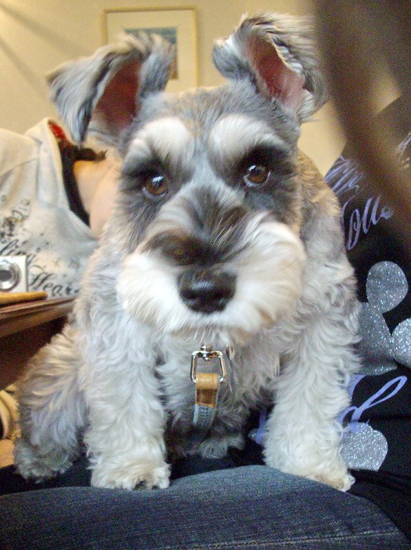 c0138198_020084.jpg