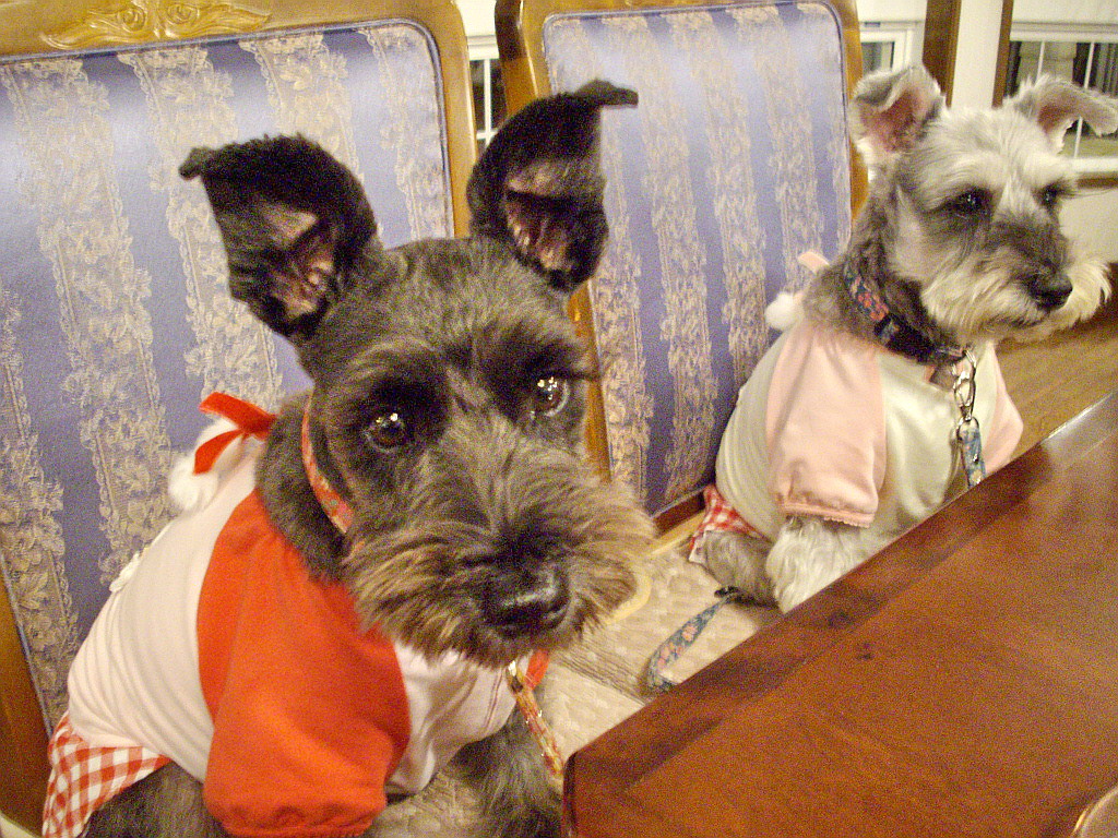 c0138198_06236.jpg
