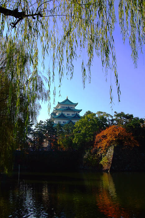c0035399_062193.jpg