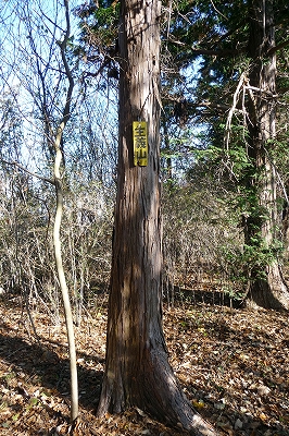 e0137200_0134397.jpg