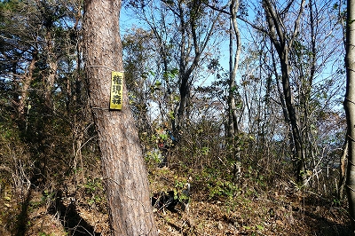 e0137200_0423425.jpg