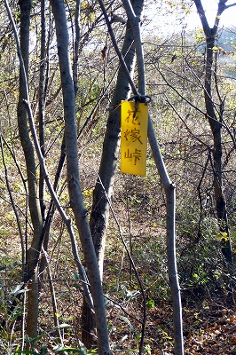 e0137200_074255.jpg