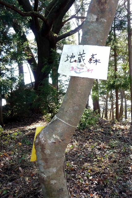 e0137200_121494.jpg