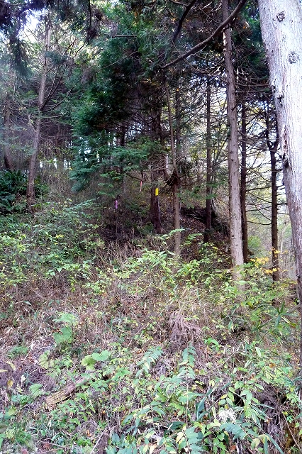 e0137200_1324037.jpg