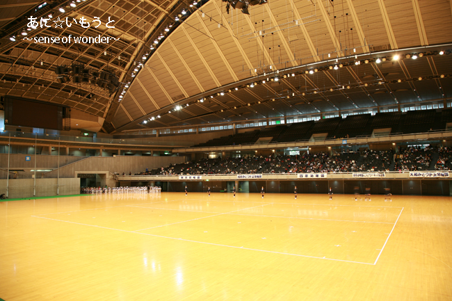 a0112402_1014261.jpg