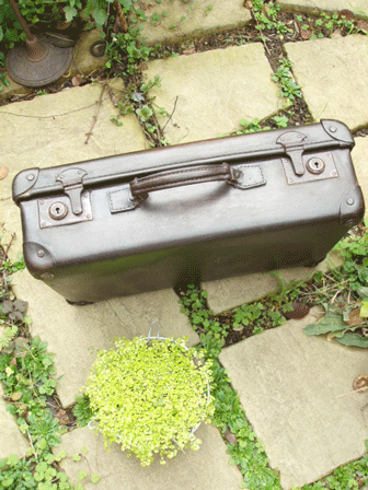 c0129702_22104151.gif