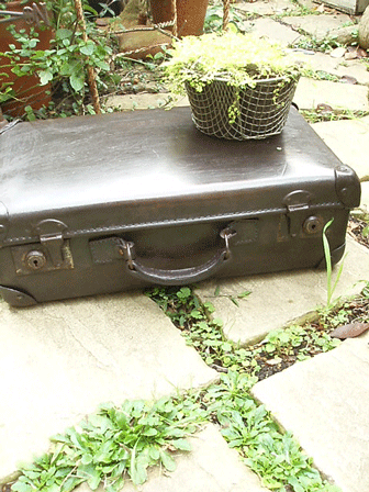 c0129702_2242316.gif