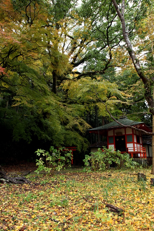 c0043403_23179100.jpg