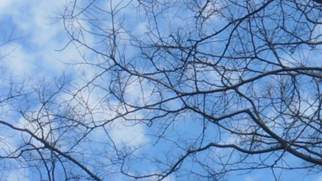 d0149105_957265.jpg