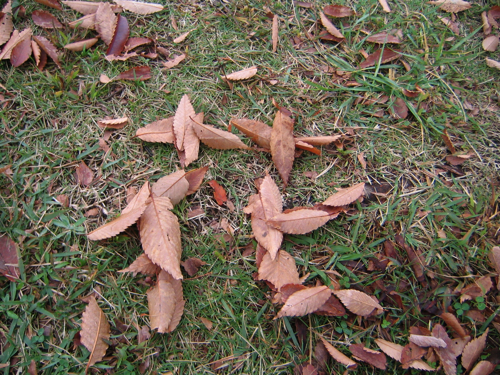c0219815_21542834.jpg