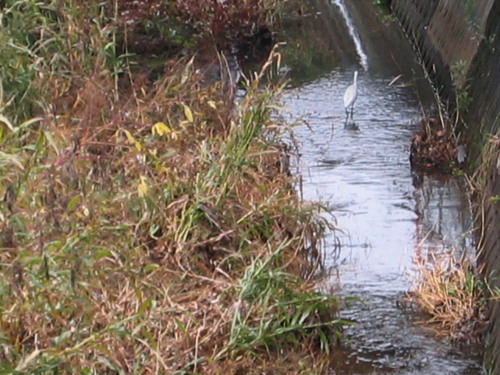c0219815_22165088.jpg