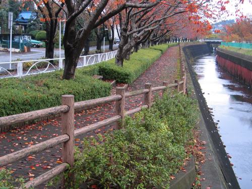 c0219815_2255125.jpg