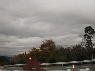 e0121418_1162041.jpg