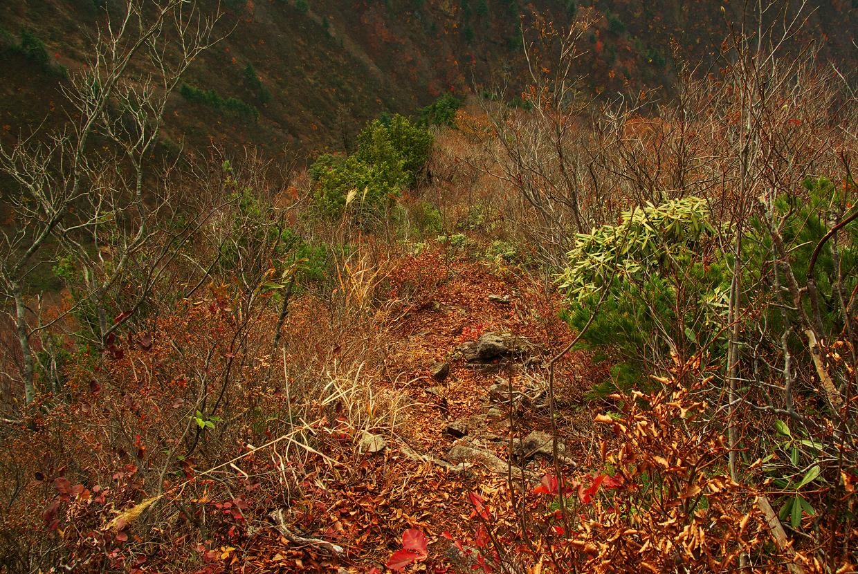 b0062024_6424070.jpg