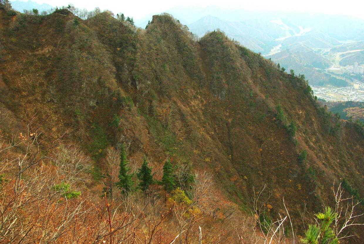 b0062024_6471777.jpg