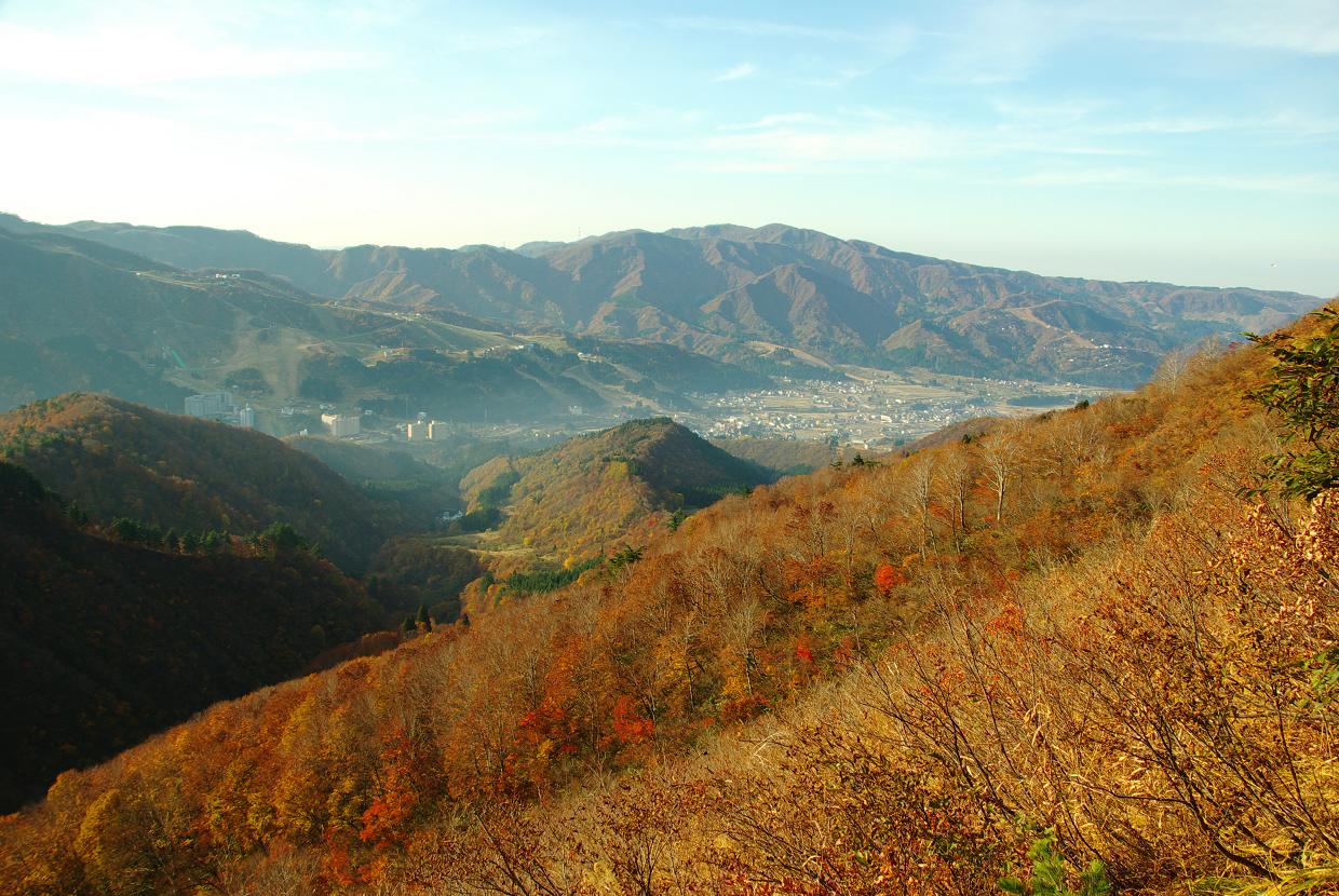 b0062024_654047.jpg