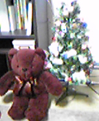 f0190328_20355100.jpg
