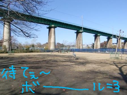 f0176830_22582825.jpg