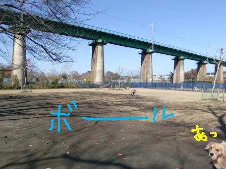 f0176830_22584541.jpg