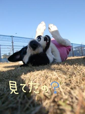 f0176830_23143740.jpg