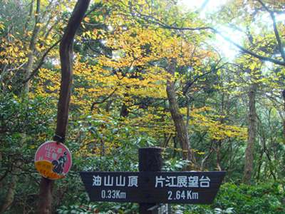 a0129233_1811122.jpg