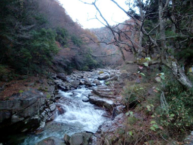 c0165033_14481254.jpg