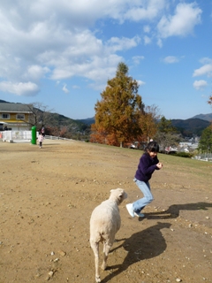 c0100534_1550022.jpg