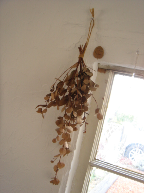 c0100534_22313841.jpg
