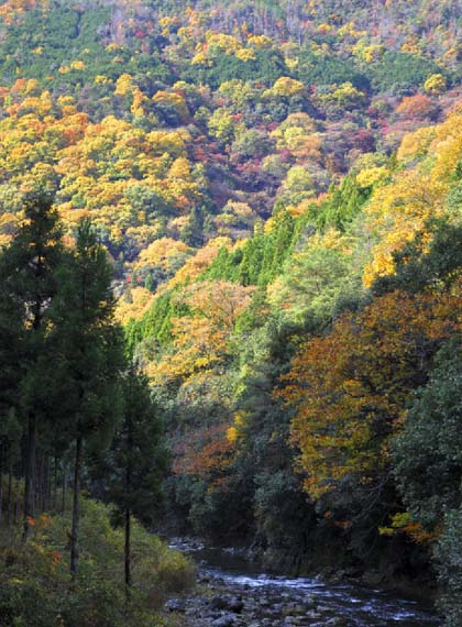 c0184737_23544521.jpg