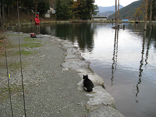 f0065341_23402384.jpg