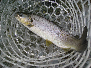 f0065341_23434531.jpg